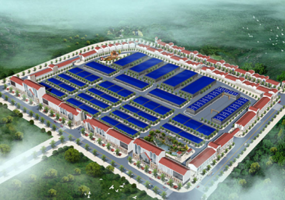 ���S�F�������@